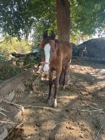 थंबनेल 2