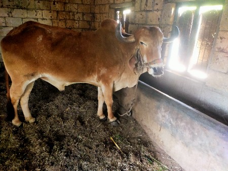 थंबनेल 3