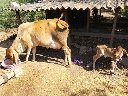 थंबनेल 2