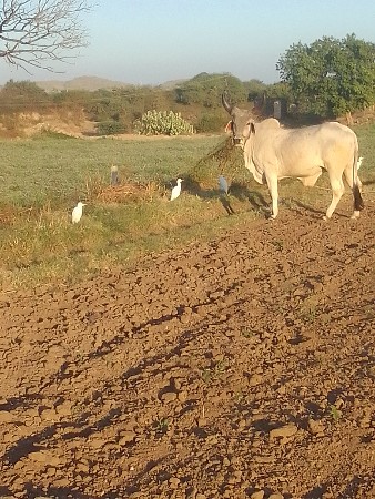 थंबनेल 2