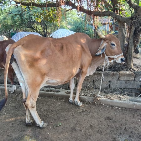 थंबनेल 3