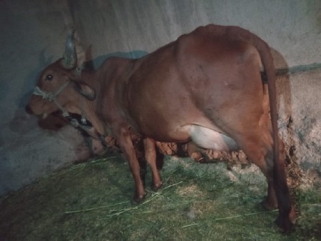 थंबनेल 2