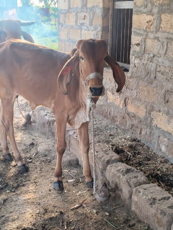 थंबनेल 3