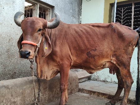 थंबनेल 2