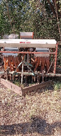 ઓણી ભારતની છે