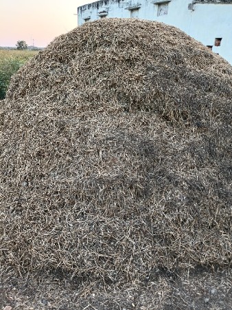 ડુસો vesavano સે