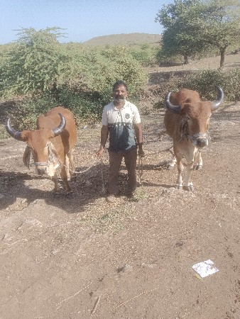 થંબનેલ 3