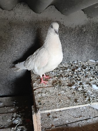 थंबनेल 2