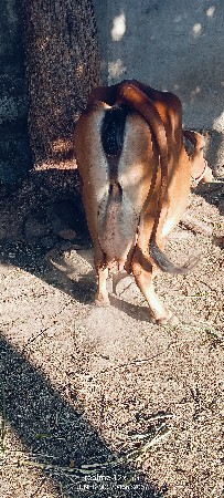 थंबनेल 6