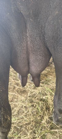 ખોટા ફોન no કરતા ભાઈ