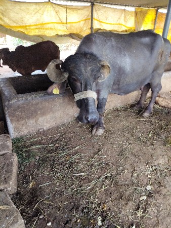 थंबनेल 2