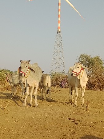 થંબનેલ 3