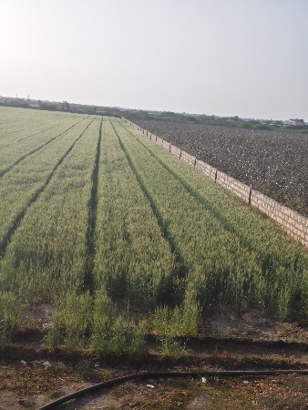 थंबनेल 3