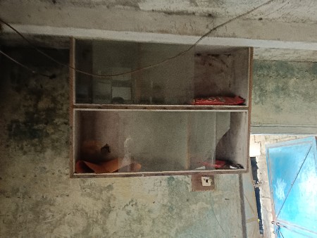 ધડો અને ઘોડા