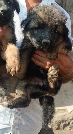 थंबनेल 3