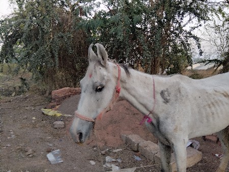 थंबनेल 2