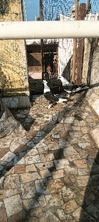 થંબનેલ 2