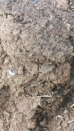 સાણીયુ ખાતર વેસવાનુસે