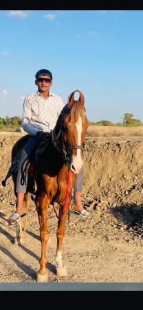 थंबनेल 3