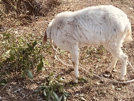 થંબનેલ 2