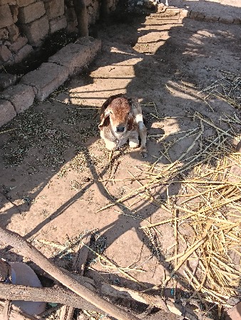 थंबनेल 3