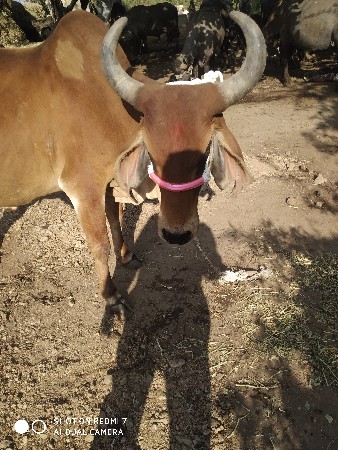 थंबनेल 3