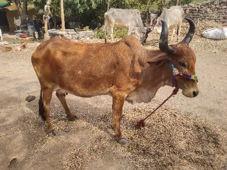 थंबनेल 2