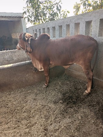 थंबनेल 3