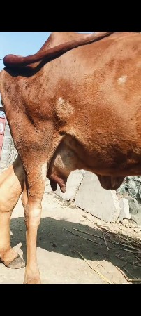 તાલુકો ગારિયાધાર જીલ્લો ભાવનગર