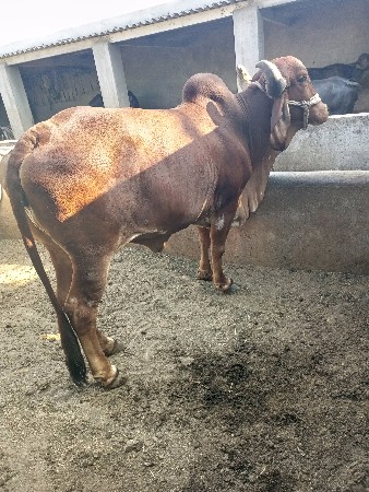 थंबनेल 2