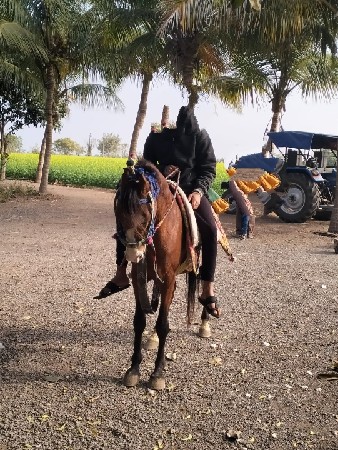 थंबनेल 3