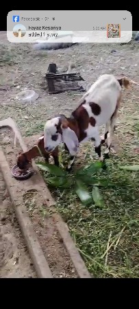 थंबनेल 3