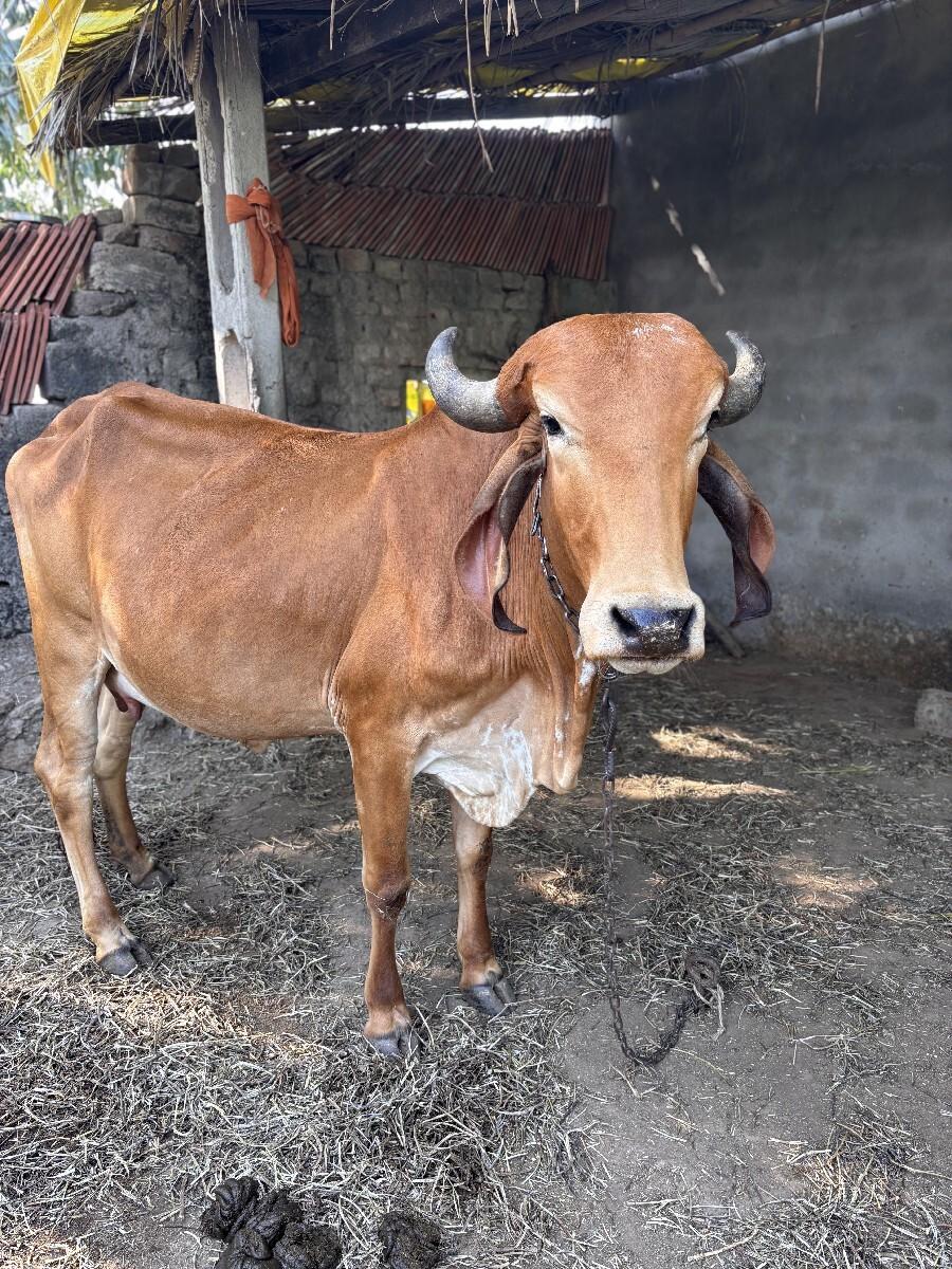 थंबनेल 3