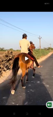 थंबनेल 3