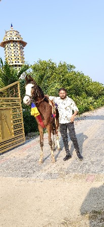 થંબનેલ 2