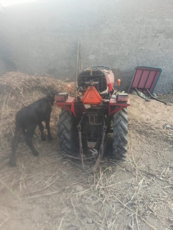 थंबनेल 3