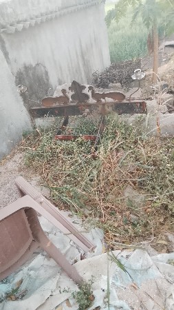 થંબનેલ 3