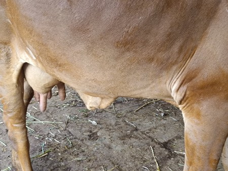 थंबनेल 2