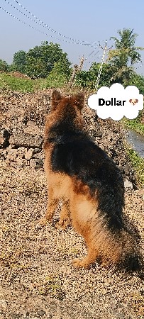 મિટિંગ માટે છે વેચવાનો નથી