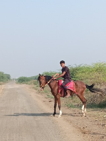 थंबनेल 2