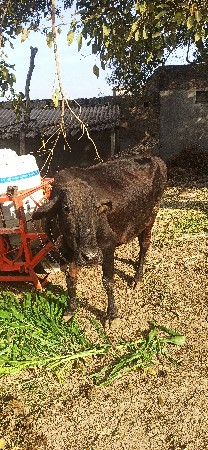 थंबनेल 3