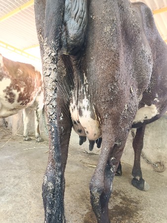 थंबनेल 2