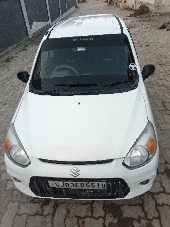 alto 800