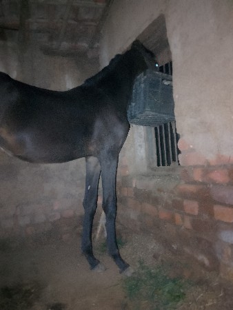 थंबनेल 2