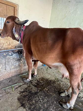 મોબાઇલ નબર 9725322565