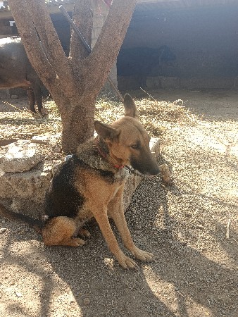 थंबनेल 2