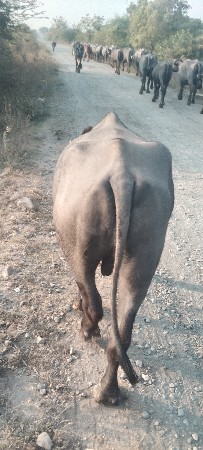 થંબનેલ 3