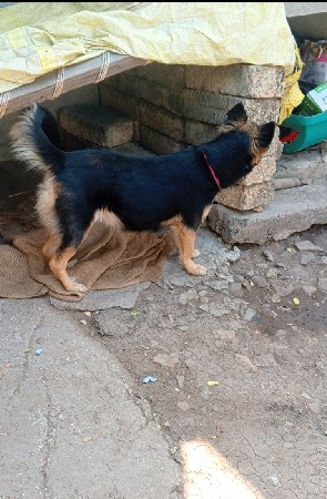 थंबनेल 2