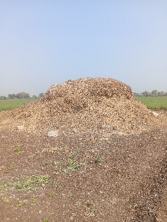 માંડવી નો ભૂકો