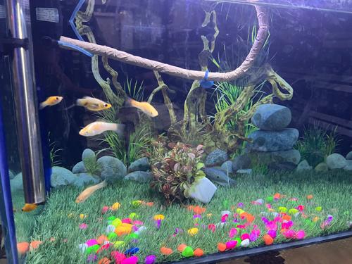 વેસવાનું છે જે કોઈ ને લેવું હોય તો 9265058503 કોન્ટેક્ટ કરવો